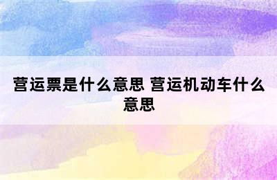 营运票是什么意思 营运机动车什么意思